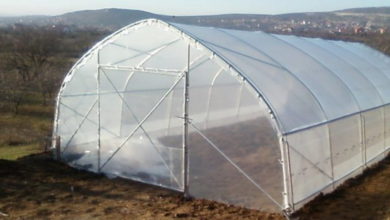 Photo of Grad Goražde raspisuje javni poziv za dodjelu plastenika od 50m2 sa dodatnom opremom putem sufinansiranja u projektu