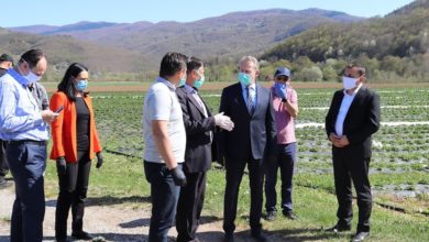 Photo of Veliki odziv poljoprivrednika u FBiH, već stiglo blizu 17.000 aplikacija