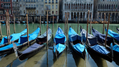 Photo of Venecija – čista voda nakon mnogo godina