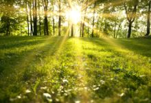 Photo of U BiH danas sunčano, temperatura i do 25 stepeni