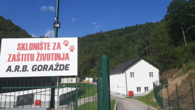 Photo of Udruženje za zaštitu životinja A.R.B iz Goražda udomljava napuštene pse u EU
