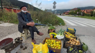 Photo of I u 83. godini sije, sadi, a oni mlađi neće motike u ruke