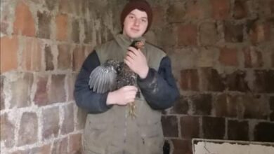 Photo of Umjesto u igricama i mobitelima, mladić Jusuf Mašić uživa u uzgoju peradi