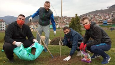 Photo of Mladi u Goraždu zasadili ukrasno drveće i voće u najljepšem gradskom parku