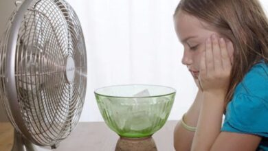 Photo of Kako uspješno rashladiti prostoriju bez klima-uređaja
