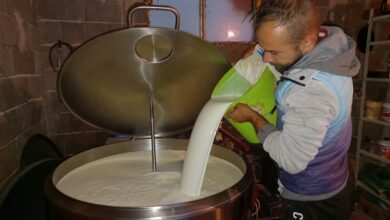 Photo of Na farmi Sipovića u Hrenovici: Armin zasukao rukave i postao svoj gazda