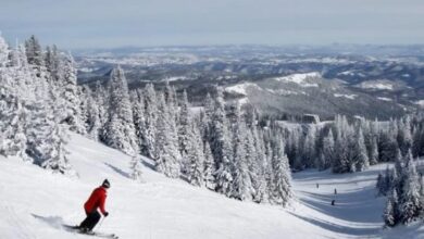 Photo of Sjajna Elvedina Muzaferija danas lovi nove bodove s najboljim startnim brojem ikada