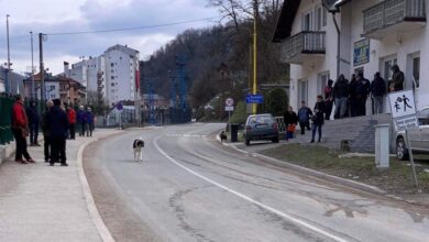 Photo of U Veterinarskoj stanici u Srebrenici “sređuju” papire za državljanstvo Srbije