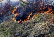 Photo of Ove godine u BiH izgorjelo preko 75 hiljada hektara: Požari uništili površinu jednaku 105 nogometnih terena