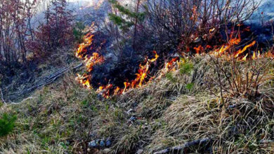 Photo of Ponovo gori u Hercegovini: Helikopteri krenuli u Gacko