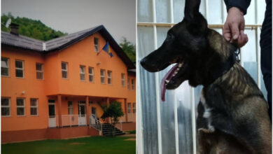 Photo of “Avaz” otkriva detalje hapšenja u KPZ Ustikolina: U kaišu pokušala prošvercovati heroin bratu, otkrio je pas