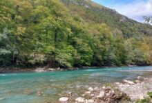 Photo of Goražde domaćin velikog međunarodnog takmičenja: Na Drinu stižu najbolji mušičari iz šest zemalja