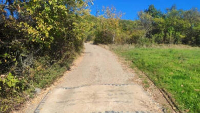 Photo of Osmislili inovativnu metodu za rupe na putu: Gurnu ih pod tepih