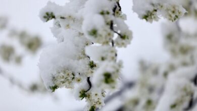 Photo of Jutarnji minusi za početak sedmice i najava novog snijega: Upaljen je i žuti meteoalarm