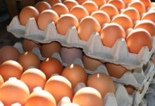 Photo of Šta se događa s vašim tijelom kada redovno konzumirate jaja