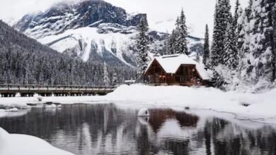 Photo of Planine Evrope bez snijega, zimska sezona naočigled svih propada