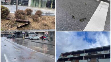 Photo of Problemi u više bh. gradova: Vjetar obarao drveće, nosio lim s krova, mećava usporila saobraćaj