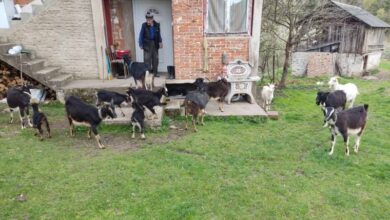 Photo of Višegrad: U vrijeme iftara opljačkan povratnik hadžija Huso Hota
