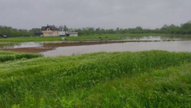 Photo of Vodostaj Une u opadanju: Krajina jutros bez kiše, pojedine ceste i dalje zatvorene