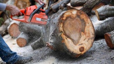 Photo of Radnicima u RS povećan iznos za topli obrok
