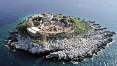 Photo of Filmovi s ratnom tematikom na SFF-u: Stvaranje turističkih atrakcija na stratištima