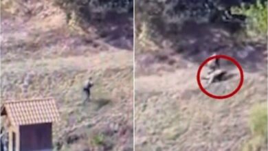 Photo of Uznemirujući sadržaj / Novi snimak s Kosova: Snajper pogodio jednog napadača tokom bijega iz manastira, ostali se razbježali