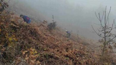 Photo of Jesenje pošumljavanje JP Bosanskopodrinjske šume Goražde