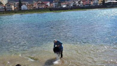 Photo of Rijeke Drina i Osanica u Goraždu poribljene sa oko 5.500 komada pastrmke