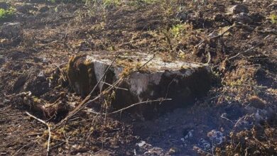 Photo of U Šadićima na Tjentištu uništeni stećci, navodno zbog izgradnje magistralnog puta Foča – Trebinje