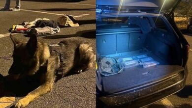 Photo of Državljaninu BiH u Rijeci pronašli pet kilograma kokaina u gepeku, razotkrili ga psi