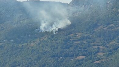 Photo of Ugašen požar u Zorlacima kod Novog Goražda, izgorjelo nisko rastinje