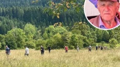 Photo of Mjesec dana od nestanka povratnika Alije Selimbašića sa Sokoca, o njemu ni traga ni glasa