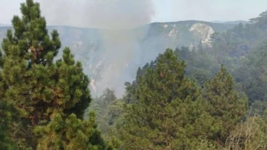 Photo of I dalje gori na području Srebrenice: Očekuje se helikopter iz Srbije, čule se eksplozije