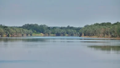 Photo of Nove informacije o vodostaju na području Save: Očekuje se ukidanje vanrednog stanja