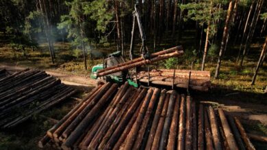 Photo of Službenici Šumskog gazdinstva “Јahorina” Pale krali stabla i oštetili preduzeće