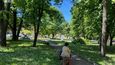 Photo of Tuzla dobila park žrtava femicida i svih oblika nasilja: Mjesto sjećanja na Amru, Amelu, Selmu…