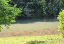 Photo of Otrov iz voda Crne Gore stigao do BiH: Ćehotina bijela kao mlijeko