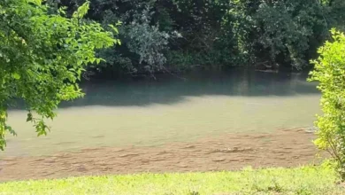 Photo of Otrov iz voda Crne Gore stigao do BiH: Ćehotina bijela kao mlijeko