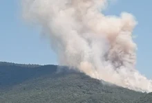 Photo of U okolini Rogatice došlo do požara, vatra aktivirala mine, odjekuju eksplozije