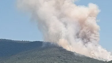 Photo of U okolini Rogatice došlo do požara, vatra aktivirala mine, odjekuju eksplozije