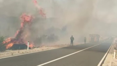 Photo of Požar kod Neuma se približio kućama, stanje alarmantno