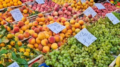 Photo of Pojačana kontrola uvoza grožđa, breskvi i mandarina u BiH: Sumnja se na opasne pesticide