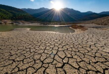 Photo of Temperature do 37 stepeni: Vrućine se nastavljaju i narednih dana