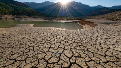 Photo of Temperature do 37 stepeni: Vrućine se nastavljaju i narednih dana