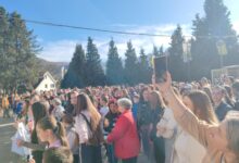 Photo of Građani Goražda traže hitno rješavanje problema pasa lutalica nakon brutalnog napada na dječaka