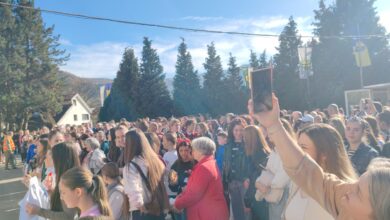 Photo of Građani Goražda traže hitno rješavanje problema pasa lutalica nakon brutalnog napada na dječaka