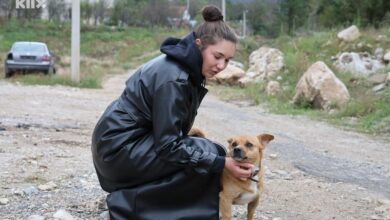Photo of Godinu dana poslije: Priča Amine Imamović koja je tokom poplava u Jablanici izgubila devet članova porodice