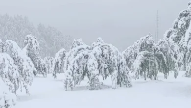 Photo of Snijeg kakav se rijetko viđa početkom oktobra: Prizori iz Čajniča više podsjećaju na januar
