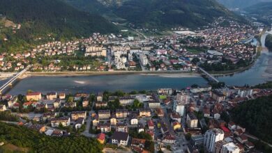 Photo of Snimci mrtvih životinja uznemirili javnost u Goraždu, stari problemi oko zbrinjavanja pasa sve kompleksniji