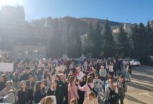 Photo of Protestovali i pred kantonom pa se razišli: Građani Goražda traže hitna rješenja za problem pasa lutalica